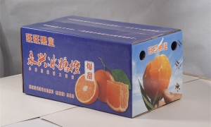 湖南水果盒包裝廠（chǎng）告訴您水（shuǐ）果包裝盒是怎（zěn）麽製作的？